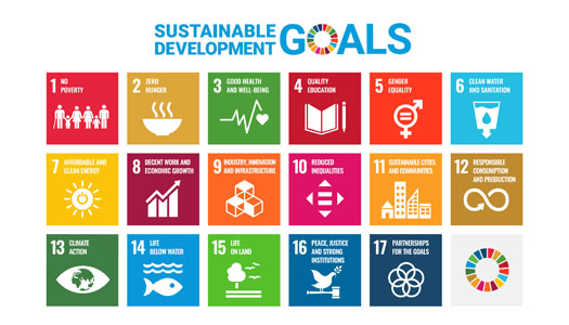 What is SDGs?