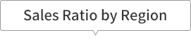 Sales Ratio by Region